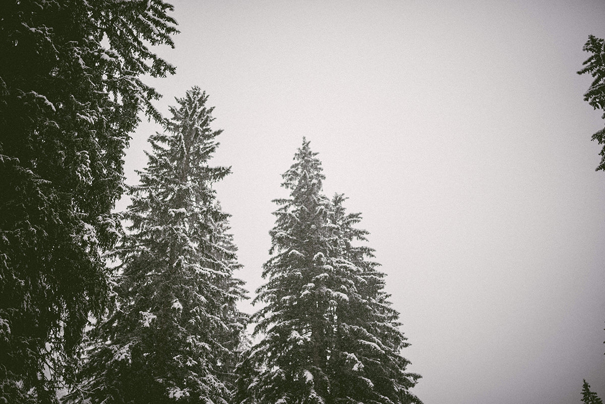 Hochzeitsfotografie-Aachen-Winter-Hochzeit-Oberstdorf-Dreamcatcher-Photography-Wedding- (26)