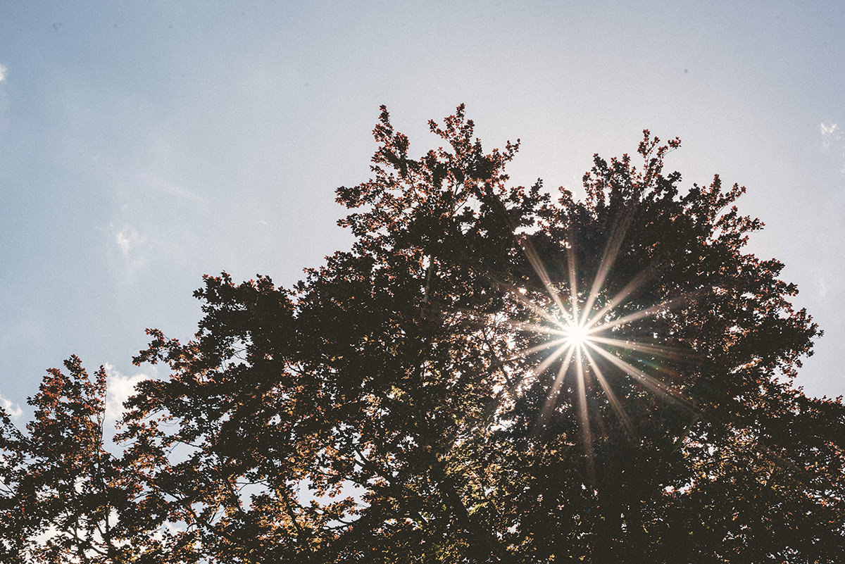 Hochzeitsfotografie-Stolberg-Aachen-Dreamcatcher-Kupferhof-Sommerhochzeit- (37)